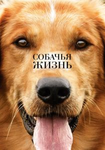 смотреть фильм Собачья жизнь (2017) фильм Собачья жизнь (2017) онлайн
