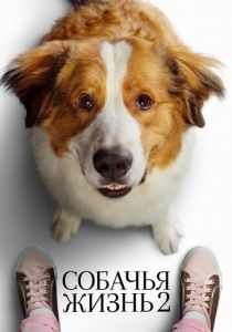 смотреть фильм Собачья жизнь 2 (2019) фильм Собачья жизнь 2 (2019) онлайн