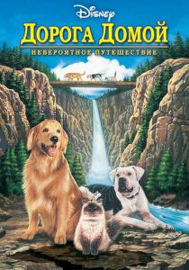 смотреть фильм Дорога домой: Невероятное путешествие (1993) фильм Дорога домой: Невероятное путешествие (1993) онлайн
