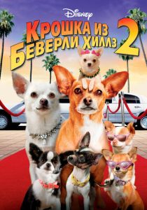 смотреть фильм Крошка из Беверли-Хиллз 2 (2010) фильм Крошка из Беверли-Хиллз 2 (2010) онлайн