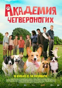 смотреть фильм Академия четвероногих (2024) фильм Академия четвероногих (2024) онлайн