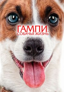 смотреть фильм Гампи. Собачья жизнь (2025) фильм Гампи. Собачья жизнь (2025) онлайн