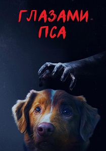 фильм Глазами пса (2025) онлайн