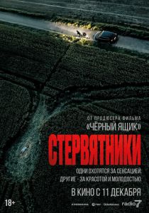 фильм Стервятники (2025) онлайн
